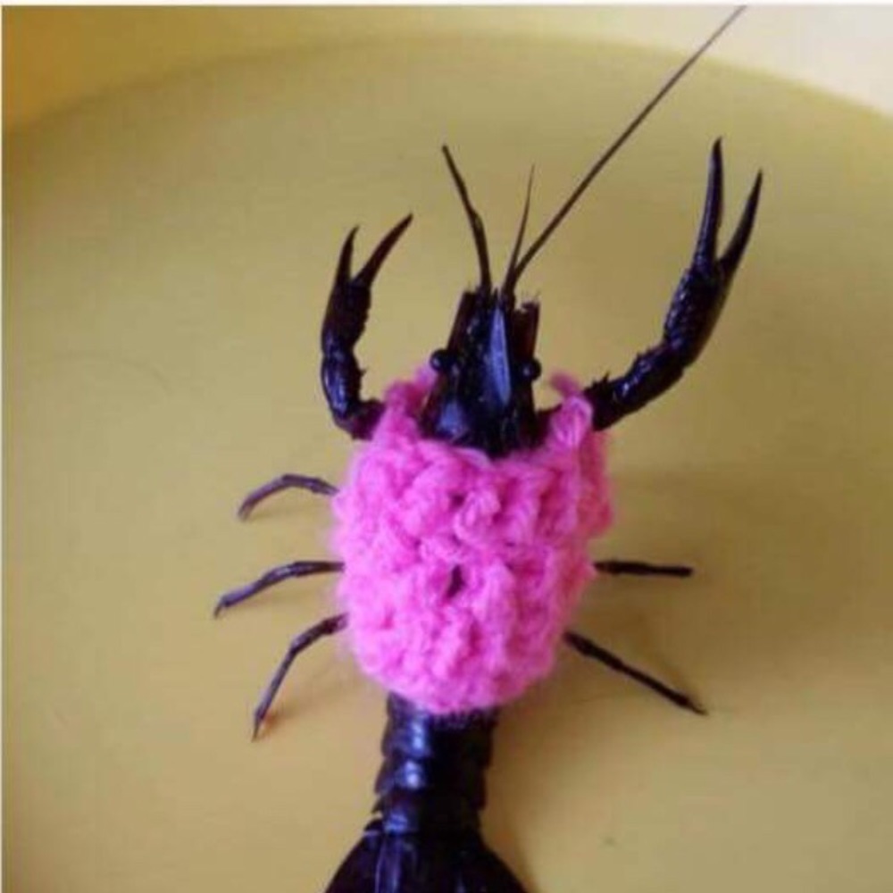 Meet your Posher, Tracey